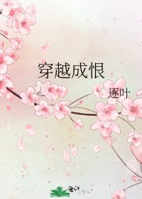 穿越成恨